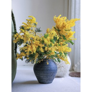 圣诞花鲜花【新鲜真花】黄色水养鲜切枝插花金合欢花材可做干花