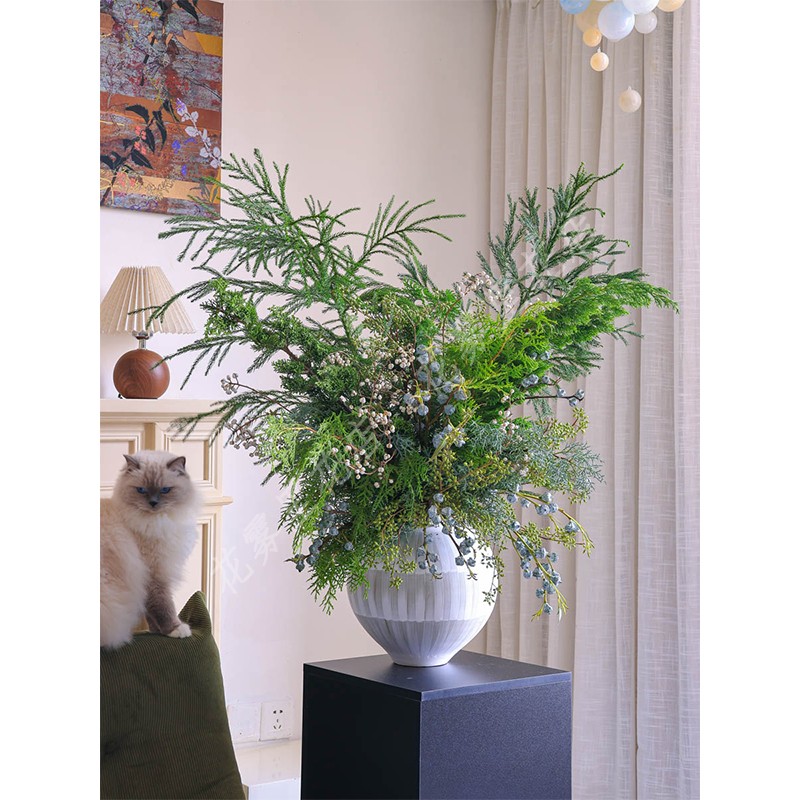 森系鲜切枝新鲜松树枝插花