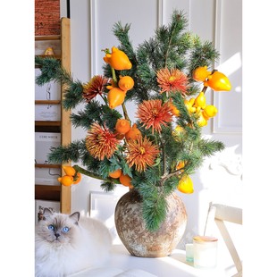 五代果 五针松枝插花新鲜采摘上海顺丰发货黄金果发财果 烟花菊