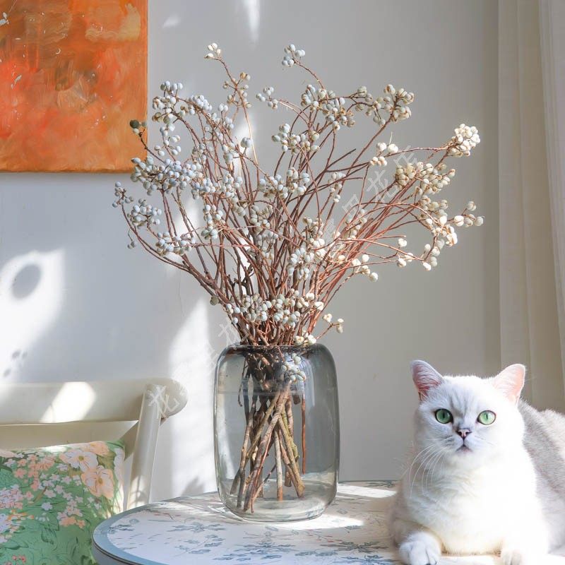 乌桕果真果圣诞材料天然薏米果白果鲜切枝ins干花果插花圣诞节diy,鲜花速递/花卉仿真/绿植园艺,花材,淘宝优惠券,粉丝福利购,淘宝优惠卷