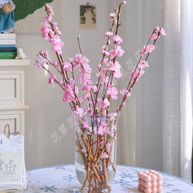桃花鲜切枝鲜花粉色水养家庭插花水养枝条新鲜真花顺丰包邮年宵花