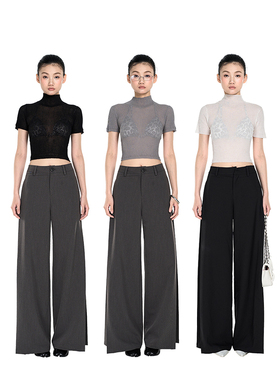 PEMPL·面膜纱 微透轻薄透气小高领针织短袖修身弹力显瘦百搭上衣