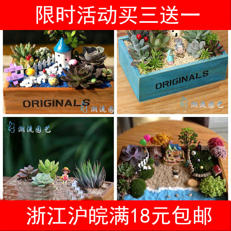 免运费微景观无孔木盒花盆陶瓷