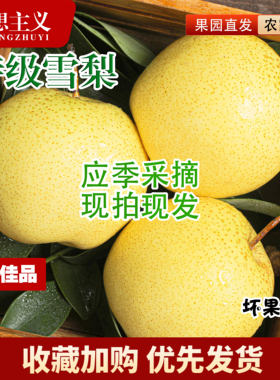 正宗河北赵县雪花梨新鲜水果包邮