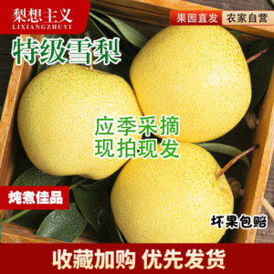 正宗河北赵县雪花梨新鲜水果包邮