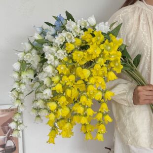 垂吊风铃铃兰花吊顶装饰花藤假花仿真花插花仿生花艺造景拍照花束
