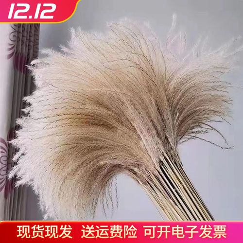 粉色芦苇干花花束落地摆件仿真花