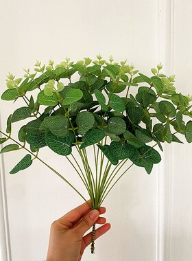 仿真绿植尤加利叶拍摄道具ins