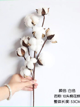 10头天然棉花枝白色干花仿真花家居装饰婚庆插花假花拍照道具复古