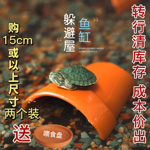 龟躲避屋黄缘龟乌龟晒台躲避屋龟