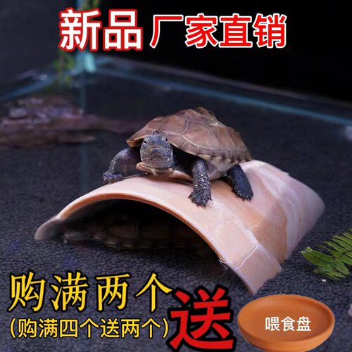 乌龟躲避屋爬宠洞穴瓦片大小天然红陶躲避屋黄缘龟晒台爬台造景窝