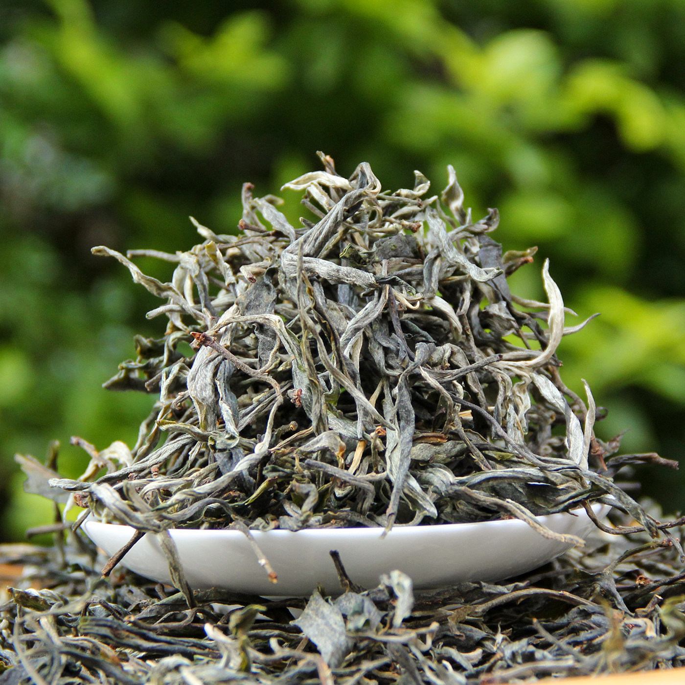 云南普洱茶冰岛纯料普洱生茶250g