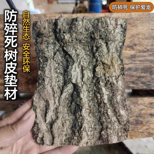 独角仙甲虫防猝死树皮垫材香槟木阔叶树皮爬虫箱生态布景饲养垫材