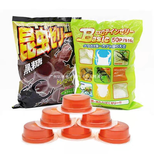 甲虫独角仙锹甲昆虫果冻饲料花金龟兜虫毛象成虫黑糖食物食台宠物