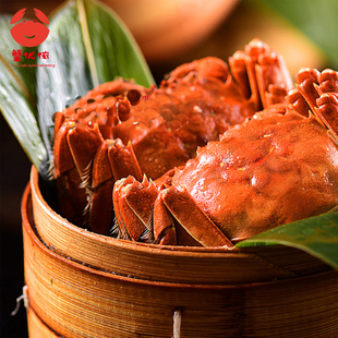 精美大闸蟹礼盒鲜活螃蟹2.5母5只3.5公5只红膏蟹顺丰包邮