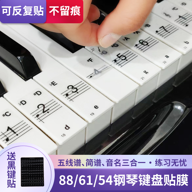 88键61键54键儿童成人钢琴键盘贴电子琴键盘贴纸透明贴五线谱简谱