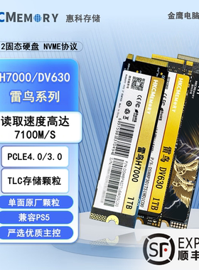 HKCMEMORY惠科M.2固态硬盘雷鸟DV630H7000固态256G/512G/1T/TLC