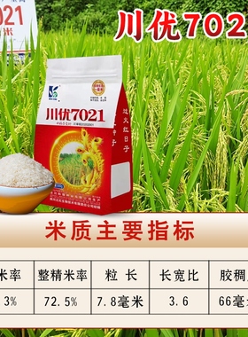 杂交水稻种子长粒香型米川优7021谷子种子部颁一级米好吃500克/袋