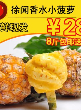 徐闻香水小菠萝 新鲜小菠萝泰国品种香水菠萝水果 胜普吉岛小菠萝