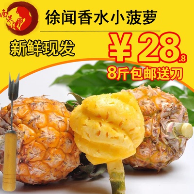 徐闻香水小菠萝 新鲜小菠萝泰国品种香水菠萝水果 胜普吉岛小菠萝