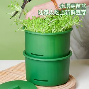 豆芽发芽盆水培蔬菜设备豌豆苗种植架无土栽培托家用芽苗菜育苗盘
