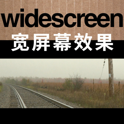 FCPX中文插件Widescreen宽屏幕遮罩效果含多种比例预设
