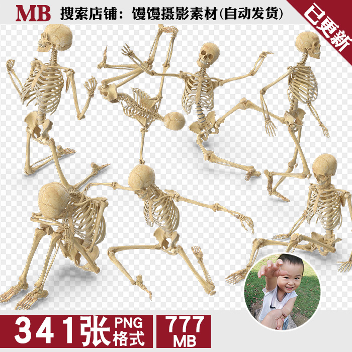 各种姿势动作骷髅骨架2k高清免扣png免抠图片绘画美术参考ps素材