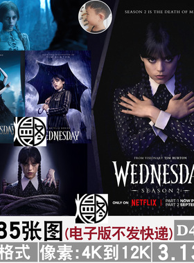 星期三亚当斯海报插画4K12K超高清手机电脑图片装饰画壁纸jpg素材