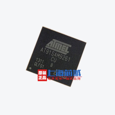 AT91SAM9261B-CU BGA217 原装正品 新批次现货 量大价优