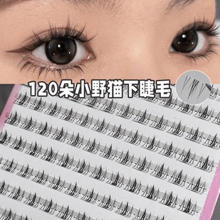 120朵漫画芭比小野猫下睫毛~懒人三部曲新手下假睫毛分段仿真睫毛