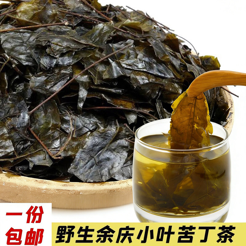 贵州毛冬青野生余庆小叶苦丁茶图片
