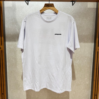 不退换PATAGONIA男T恤 Take A Stand Responsibili 37591R5 6B27