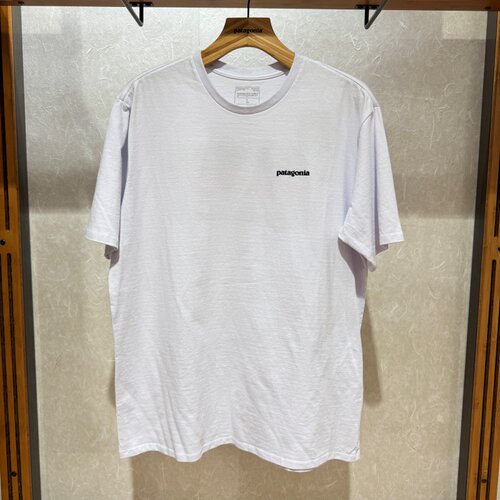 不退换PATAGONIA男T恤 Take A Stand Responsibili 37591R5 6B27