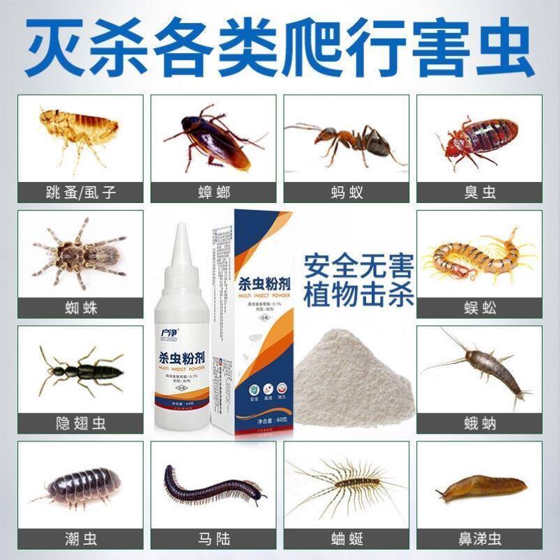 灭衣鱼虫专杀家用药除衣蛾杀虫剂诱杀衣鱼杀鱼衣虫衣娥喷雾净飞蛾