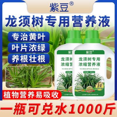 龙血树龙须树专用肥料营养液盆栽植物室内绿植养花肥通用氮磷钾肥