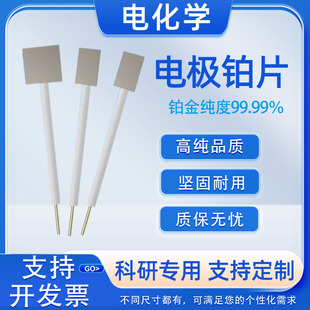 铂片电极 铂电极10*10*0.1 对电极纯度99.99 可开票 PT片四氟杆子