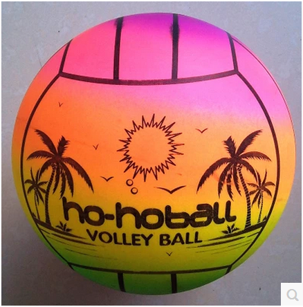 Ballon de volley-ball - Ref 2012032 Image 1