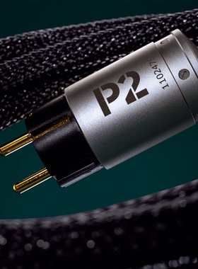 丹麦 Ansuz神符奇技 Mainz P2 美标电源线 全新行货 音源功放总线