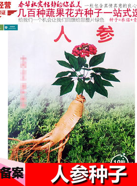 长白山人参花卉中药材绿植种子