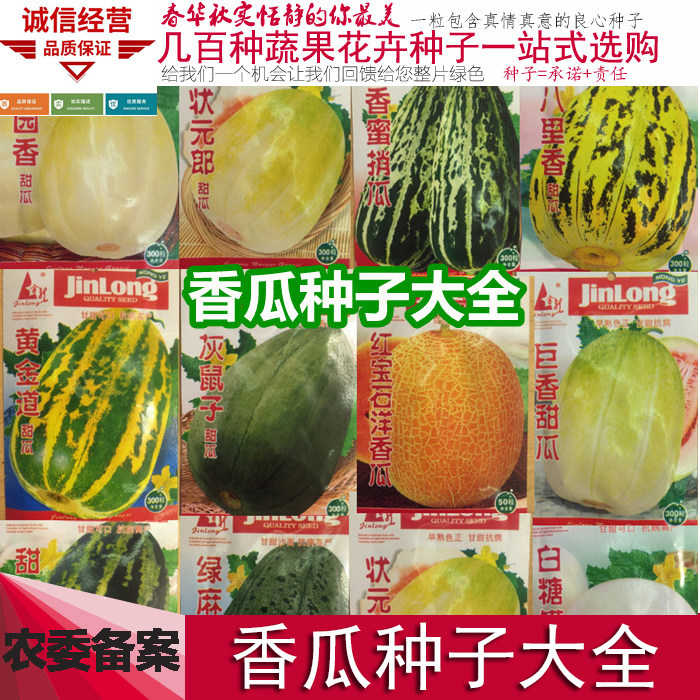 东北香瓜种子绿麻瓜种籽沙白瓜甜宝羊角蜜烧瓜香瓜种孑高产甜早熟