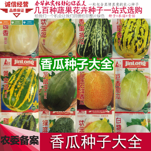 东北香瓜种子绿麻瓜种籽沙白瓜甜宝羊角蜜烧瓜香瓜种孑高产甜早熟
