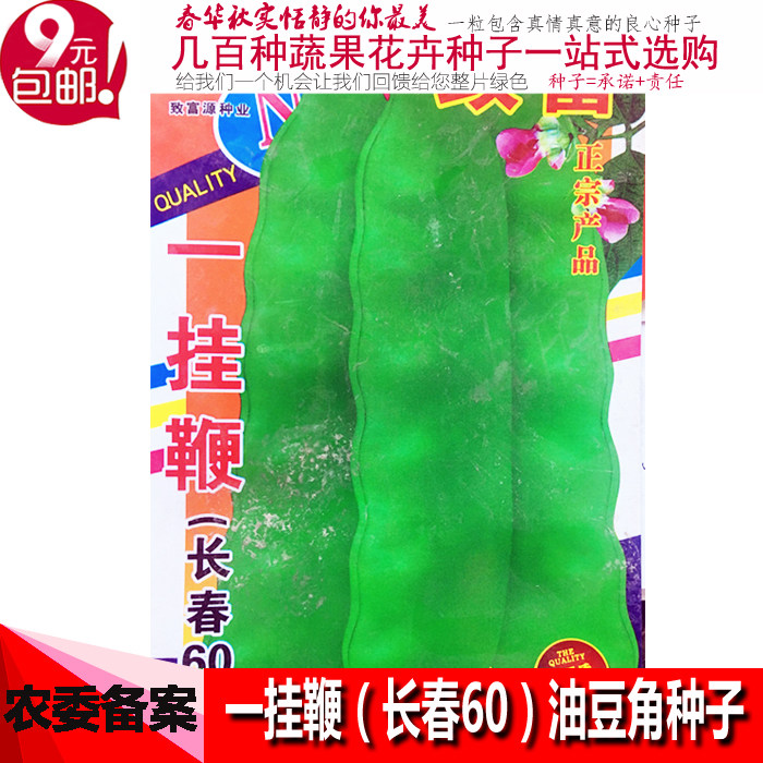 一挂鞭油豆种子长春60东北油豆角种籽绿色豆角架豆王开锅烂蔬菜孑