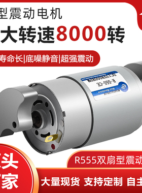 新永泰R-555微型双头振动电机震动小型微型震动马达6v12v24v