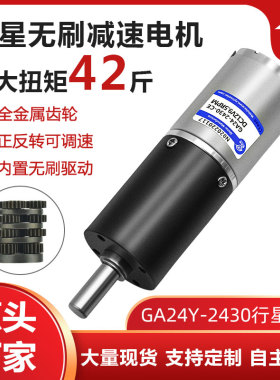 GA24Y-2430无刷行星齿轮减速电机12v24v微型调速直流小马达大扭力
