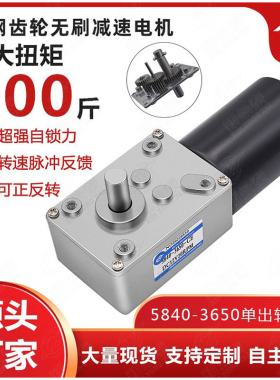 5840-3650无刷直流减速电机蜗轮蜗杆低速大扭力微型调速电机马达