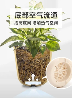 塑料兰花深盆花盆长钵树脂大爱丽思绿萝爱丽丝iris加厚加仑