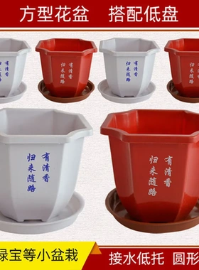 印花塑料基地花店榕树花盆小盆栽创意绿宝方型花卉园艺红白