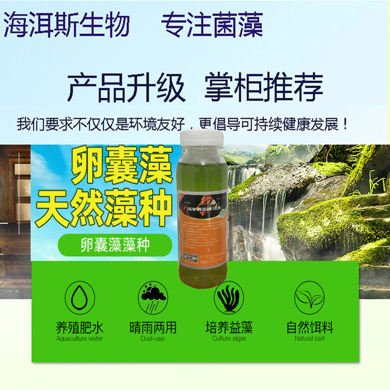 水产养殖肥水培藻绿藻小球藻培养基硅藻藻种水产小球藻藻种卵囊藻