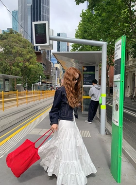 26早春度假风绝美气质半身裙设计感高腰大摆层次半身蛋糕裙C8722