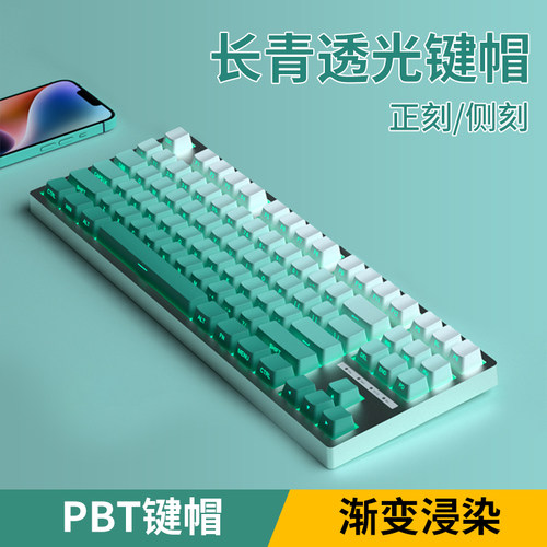 常青键帽正刻侧刻PBT透光大全套